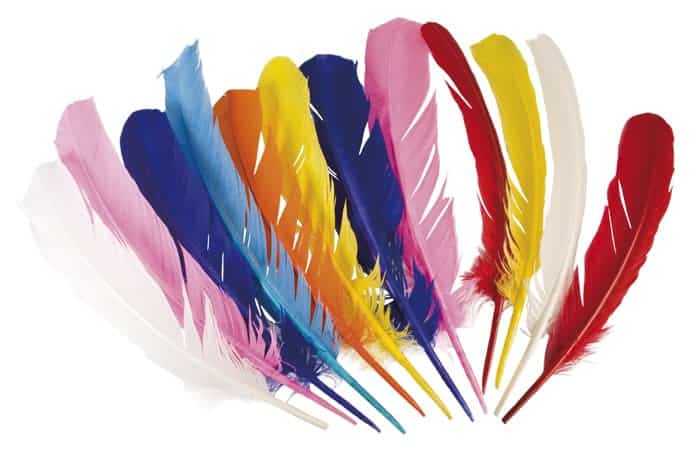 12 plumes colorées