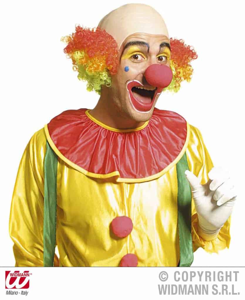 CRANE CHAUVE DE CLOWN (Cheveux multicolores) – Image 1