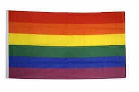 Drapeau rainbow 90 x 150 cm