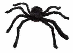 Araignee velue de poils noirs 70 cm