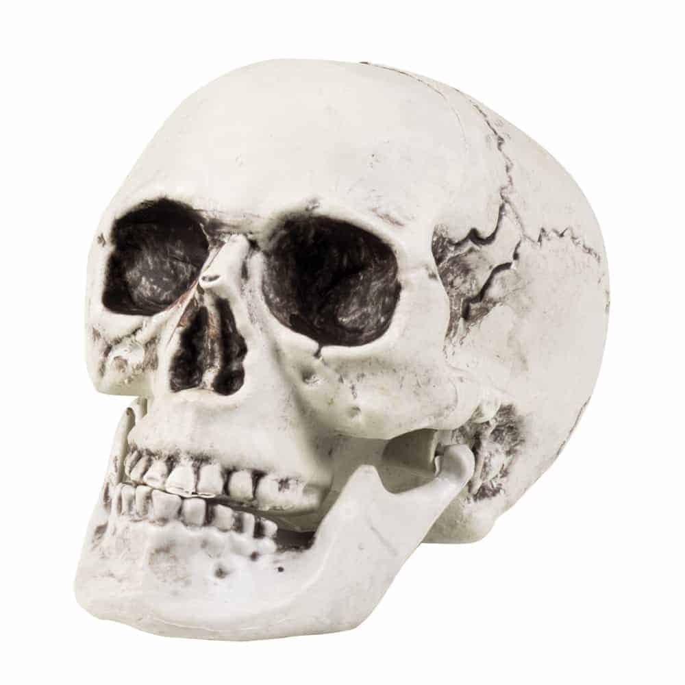 Tete de mort 20 x 15 cm