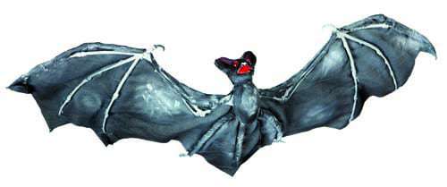Chauve souris a suspendre