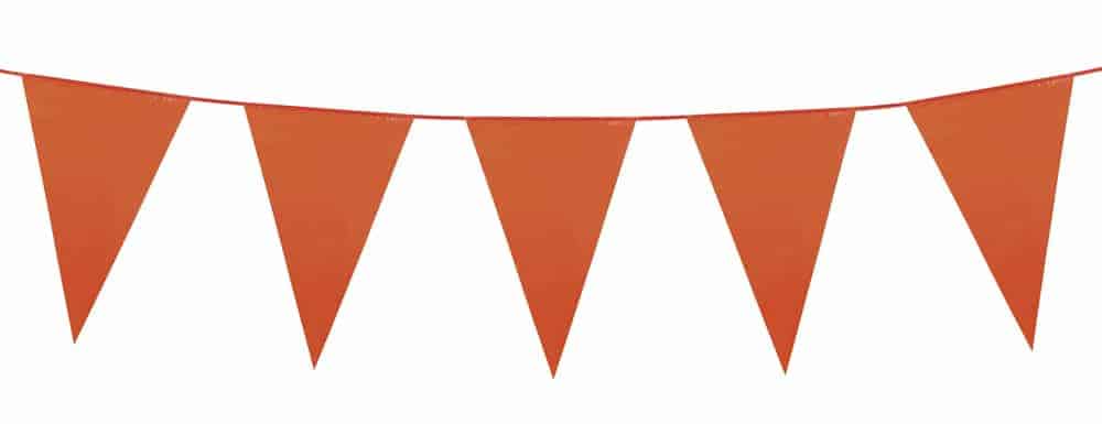 GUIRLANDE 20 FANIONS (Taille 10 m - 8 coloris)