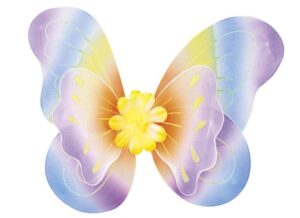 AILES DE PAPILLON RAINBOW (Ailes féeriques - Arc en ciel) – Image 2
