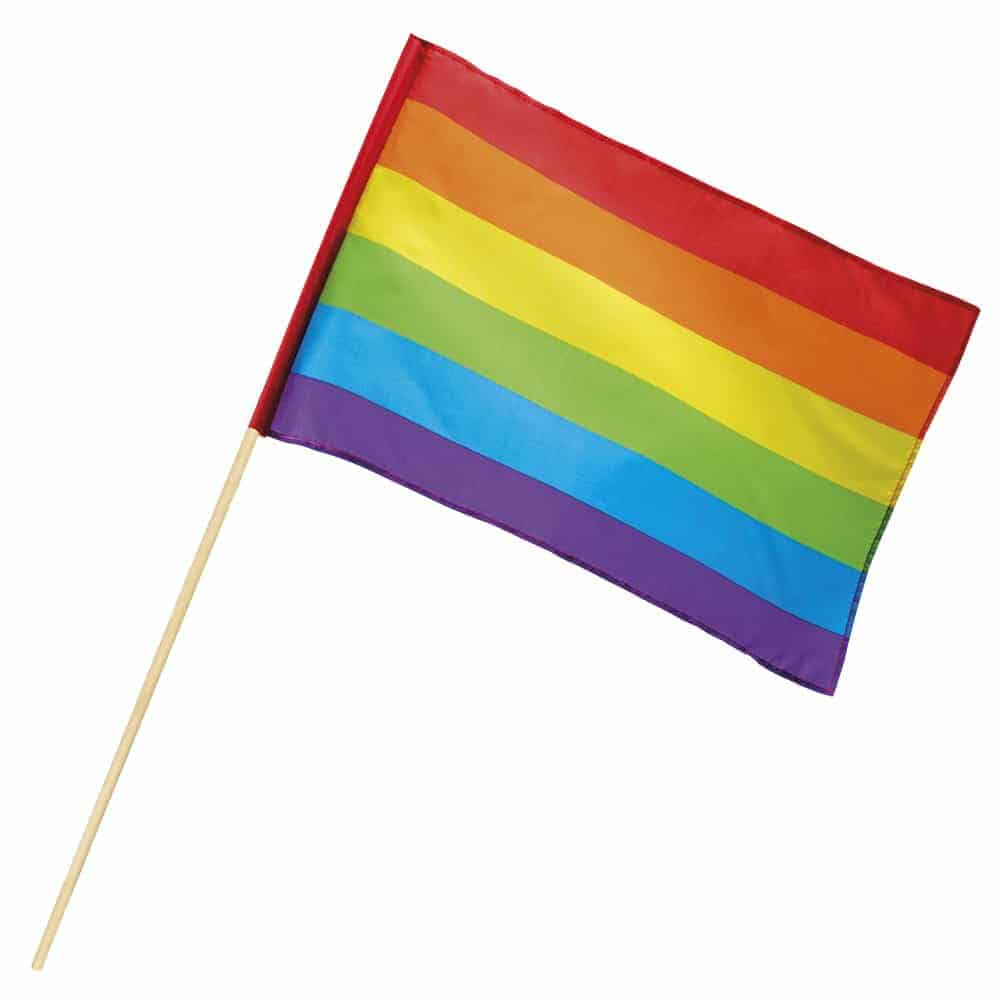 Drapeau fanion rainbow