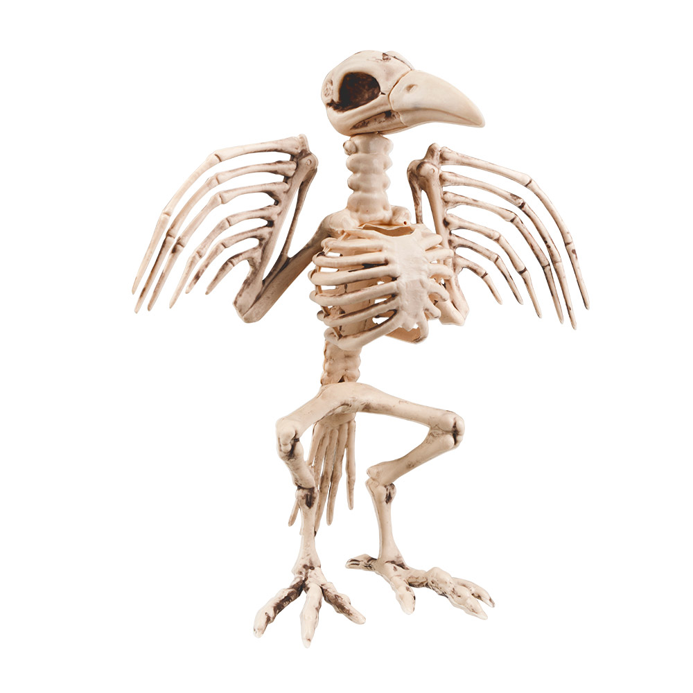 CORBEAU SQUELETTE XL (Décoration - 32 cm)