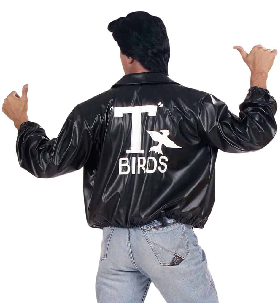 BLOUSON NOIR DES T-BIRDS (Blouson Homme - Taille M/L) – Image 2