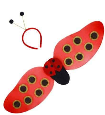 SET DE COCCINELLE FUN (Ailes et antennes)