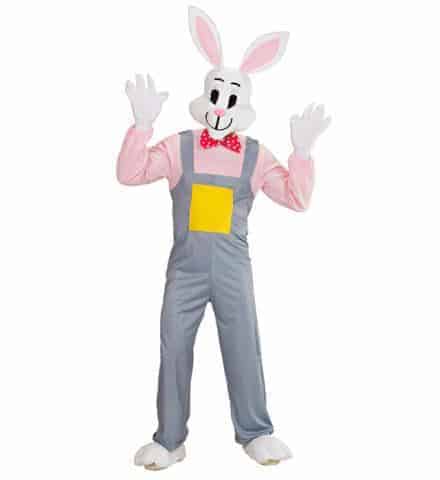 Mascotte de lapin fun