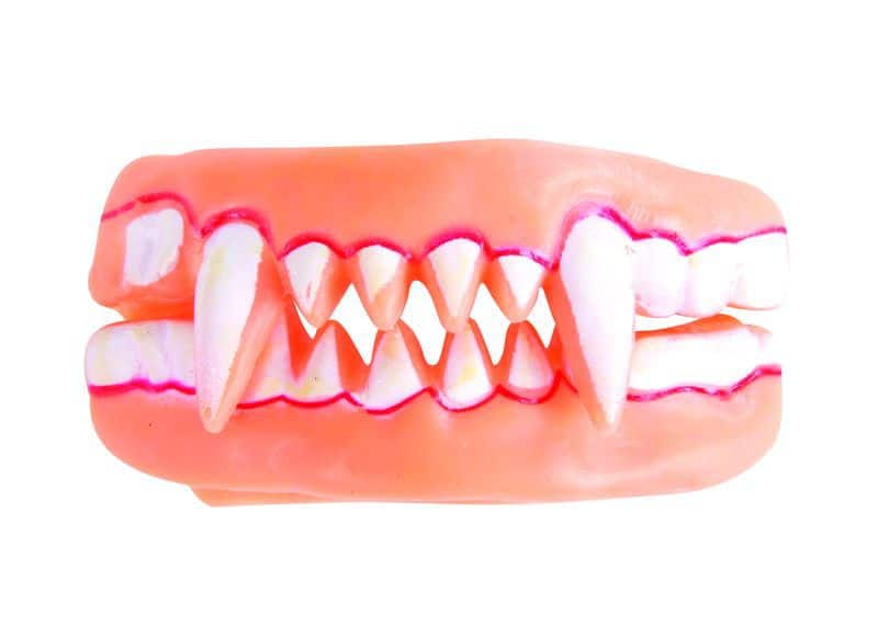 DOUBLE DENTIER DE VAMPIRE