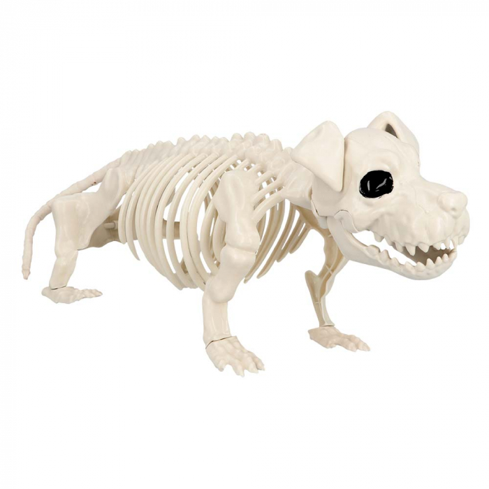 SQUELETTE CHIEN ASSIS (Décoration 52 cm)