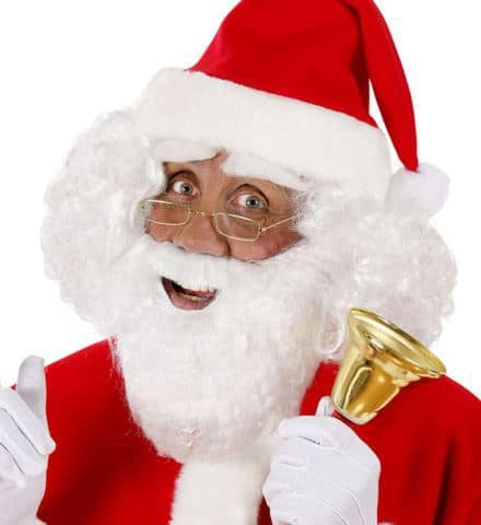BARBE DU PÈRE NOEL (Moustache et barbe)