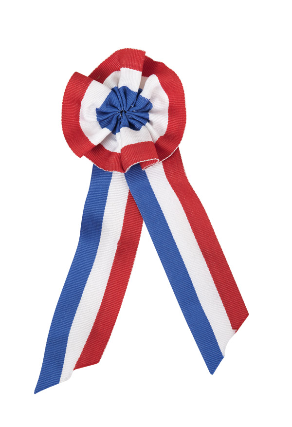 COCARDE TRICOLORE BBR (Taille 15 cm en tissu)