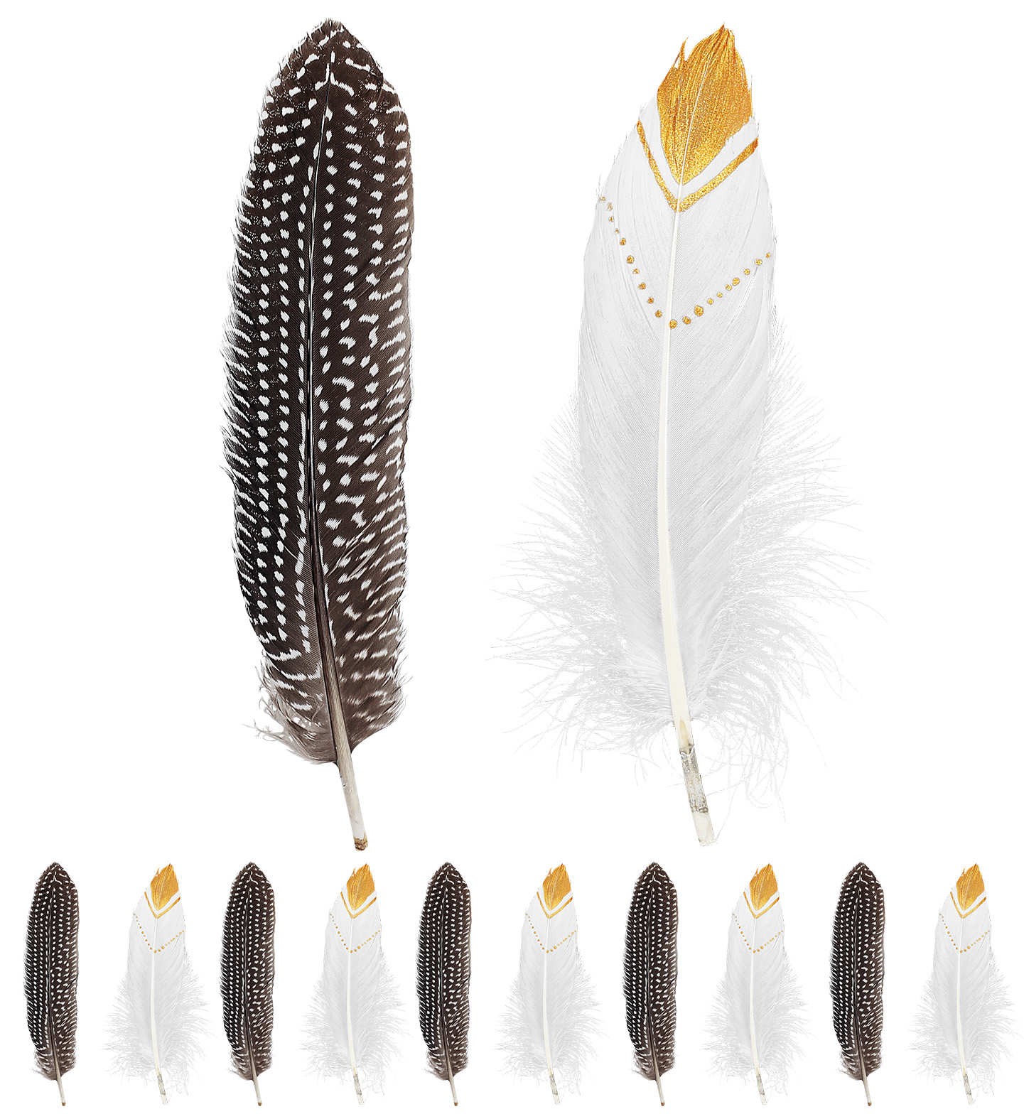 PACK PLUMES  (Sachet 12 plumes 20 cm) – Image 2