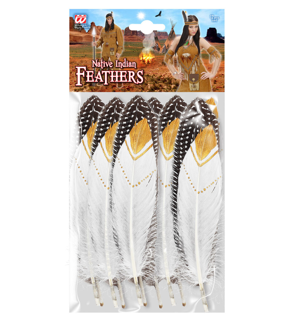 PACK PLUMES  (Sachet 12 plumes 20 cm)