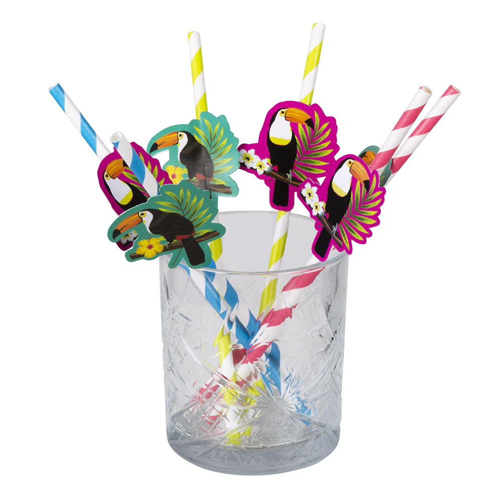 SET DE 6 PAILLES TOUCAN (Pailles en papier 20 cm)