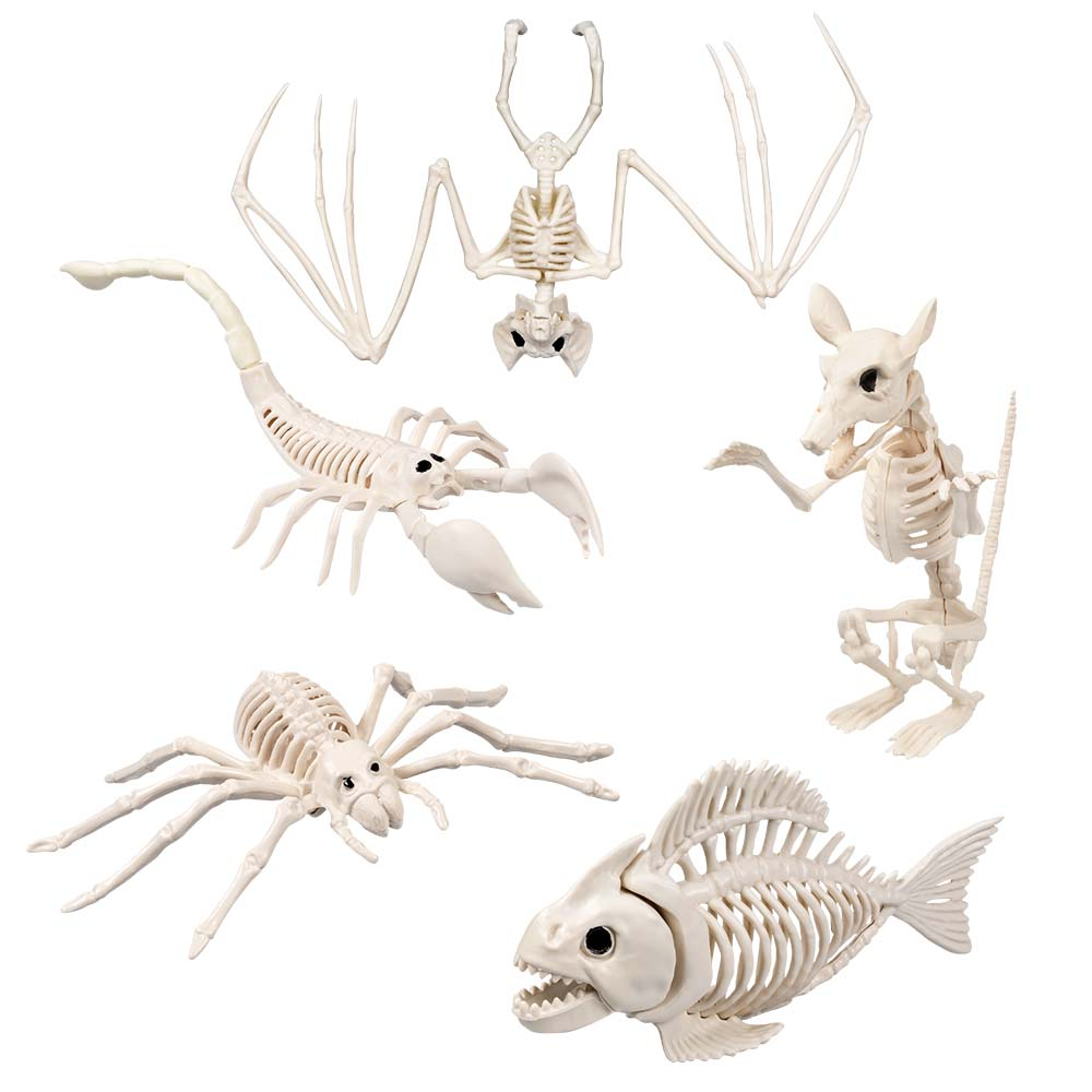 SQUELETTES D'ANIMAUX (Pack de 10 pièces assorties) 5 Modèles de 18 à 24 cm