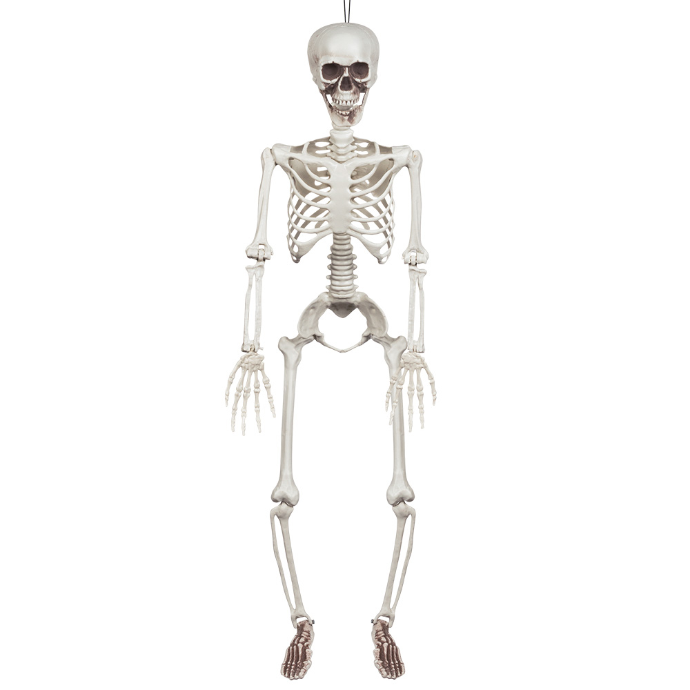 SQUELETTE A SUSPENDRE (Hauteur 90 cm)
