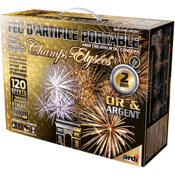 FEU D'ARTIFICE PORTABLE (Spectacle 2 minutes) Champs Elysées