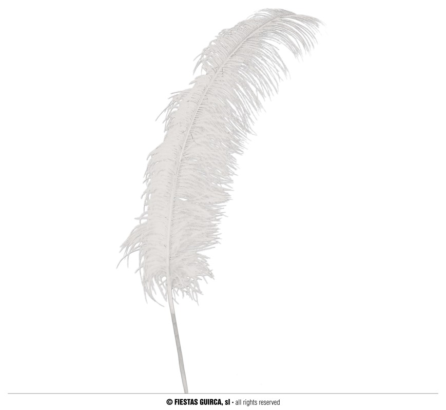 PLUME D'AUTRUCHE XL (Taille 50 cm - 6 coloris)