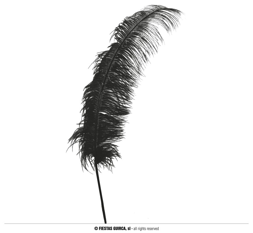 PLUME D'AUTRUCHE XL (Taille 50 cm - 6 coloris)