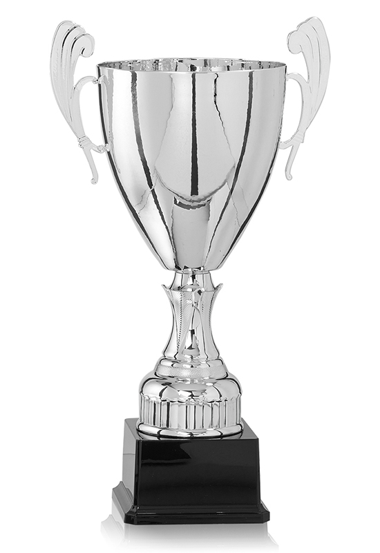COUPE  ARGENT (Dimension 48 cm)