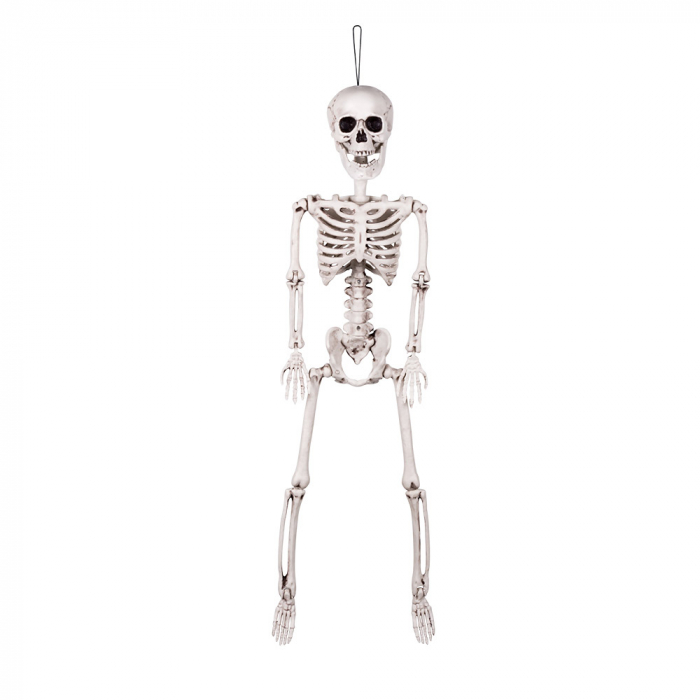 SQUELETTE A SUSPENDRE (Dimension 60 cm)