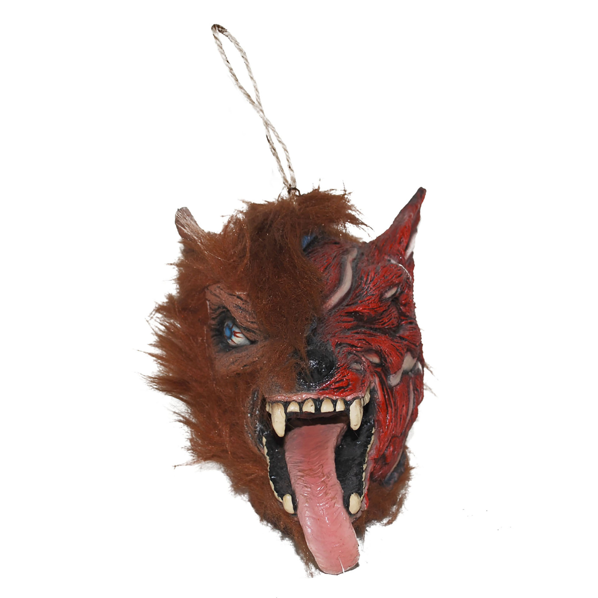 TÊTE DE LOUP EN SANG (Dimension 20 x 25 cm) Décoration à suspendre – Image 1