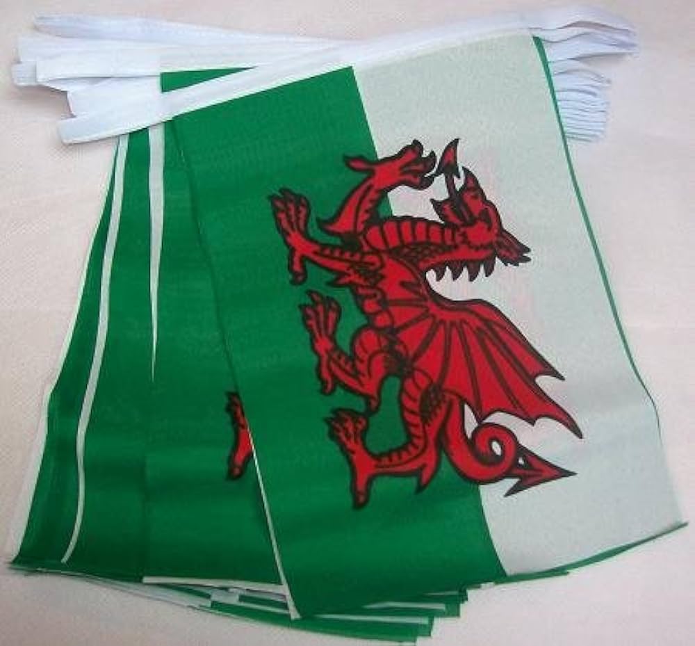 GUIRLANDE PAYS DE GALLES (Guirlande tissu - 10 mètres) 15 fanions 30 x 40 cm