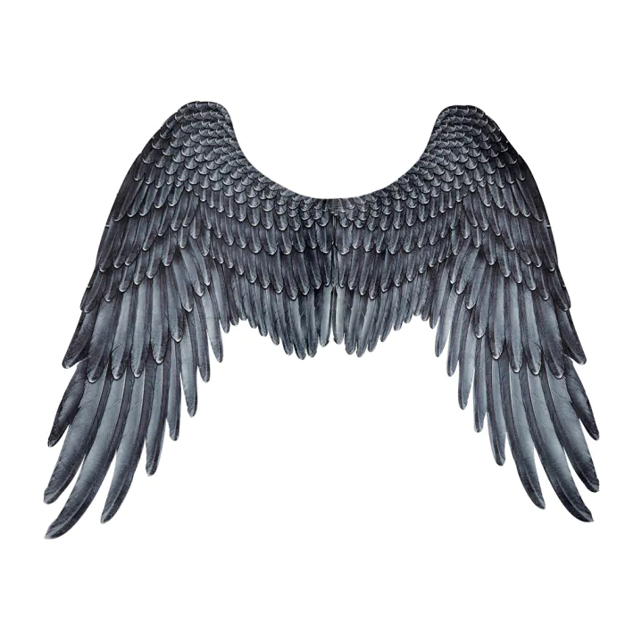 AILES D'ARCHANGE NOIRES (Ailes polyester 95 x 75 cm) Plumes imprimées