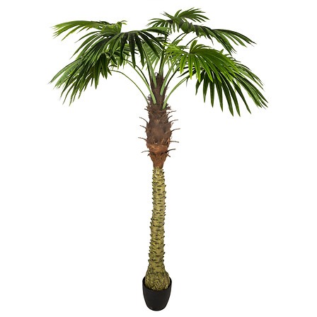 PALMIER DÉCORATIF (Hauteur 180 cm)