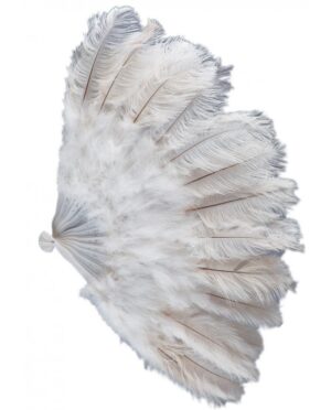 ÉVENTAIL GÉANT DE LUXE (Plume d'autruche 90 cm ouvert) – Image 2
