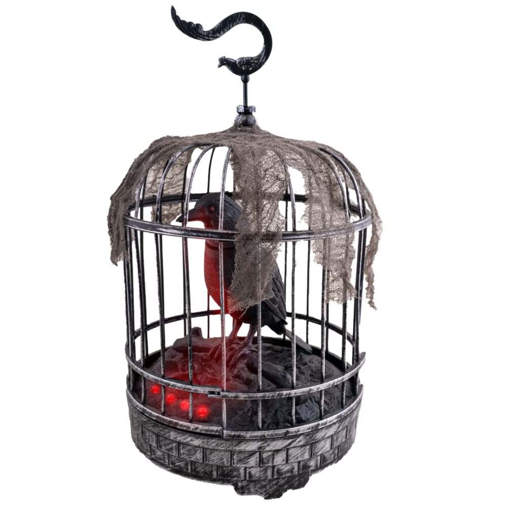 CORBEAU DANS SA CAGE ANIME ET SONORE
